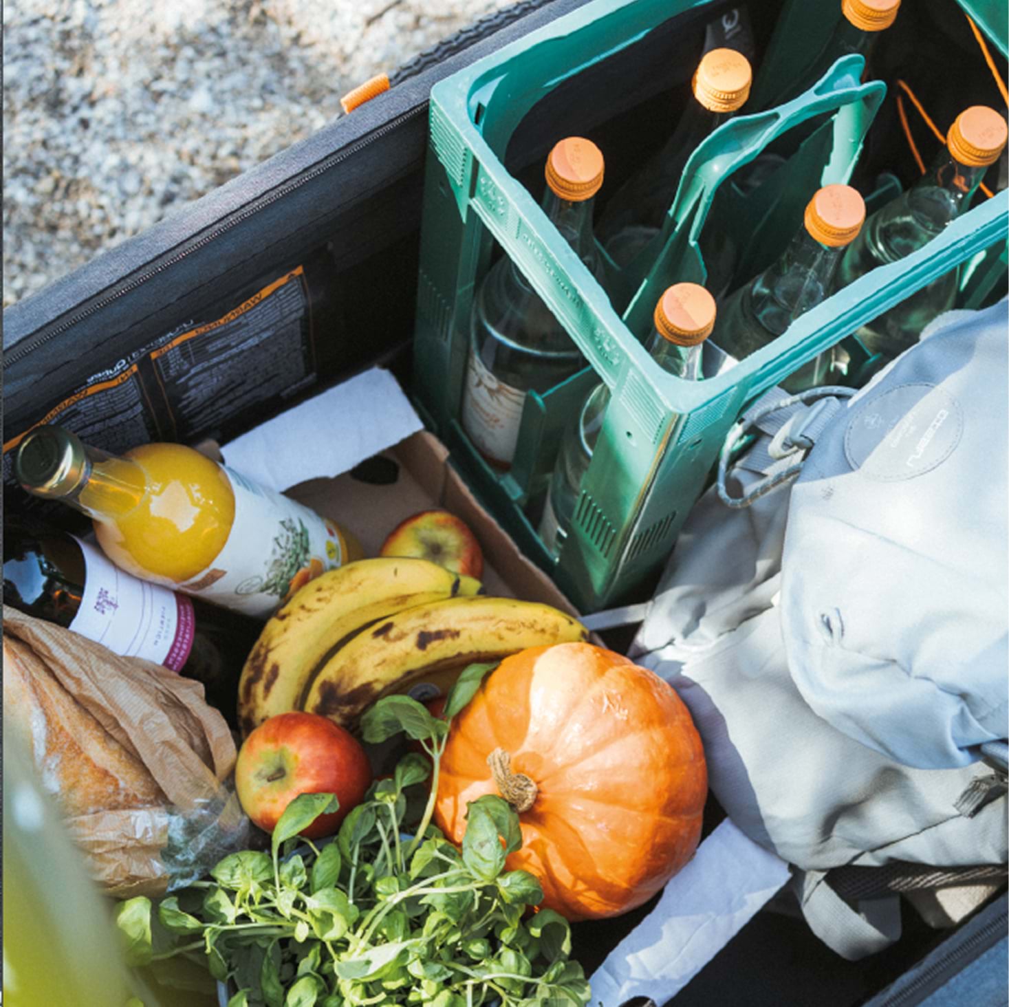 Produktkategorie "Cargo"