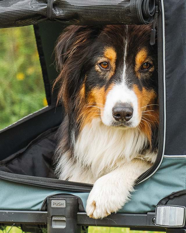 Produktkategorie "Kids"