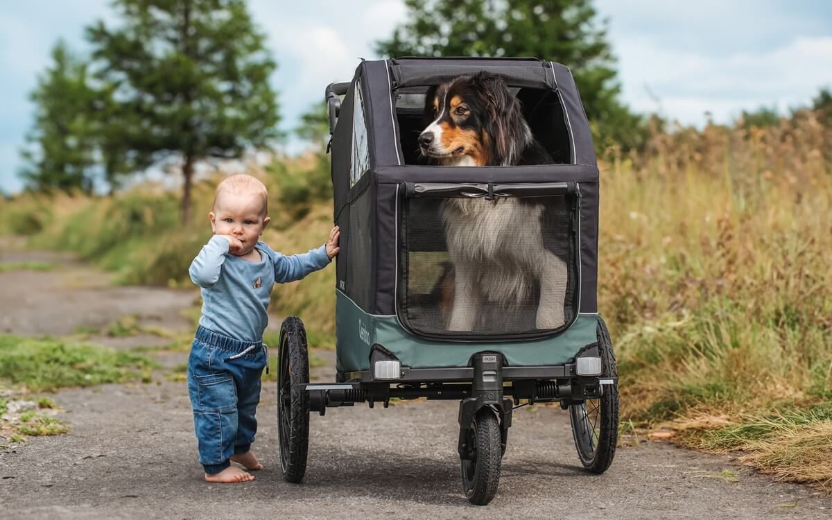 Hundefahrradanhänger Modelle