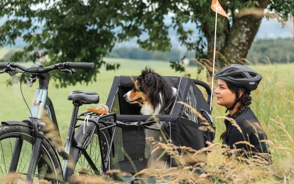 Hundeanhänger fürs Fahrrad kaufen