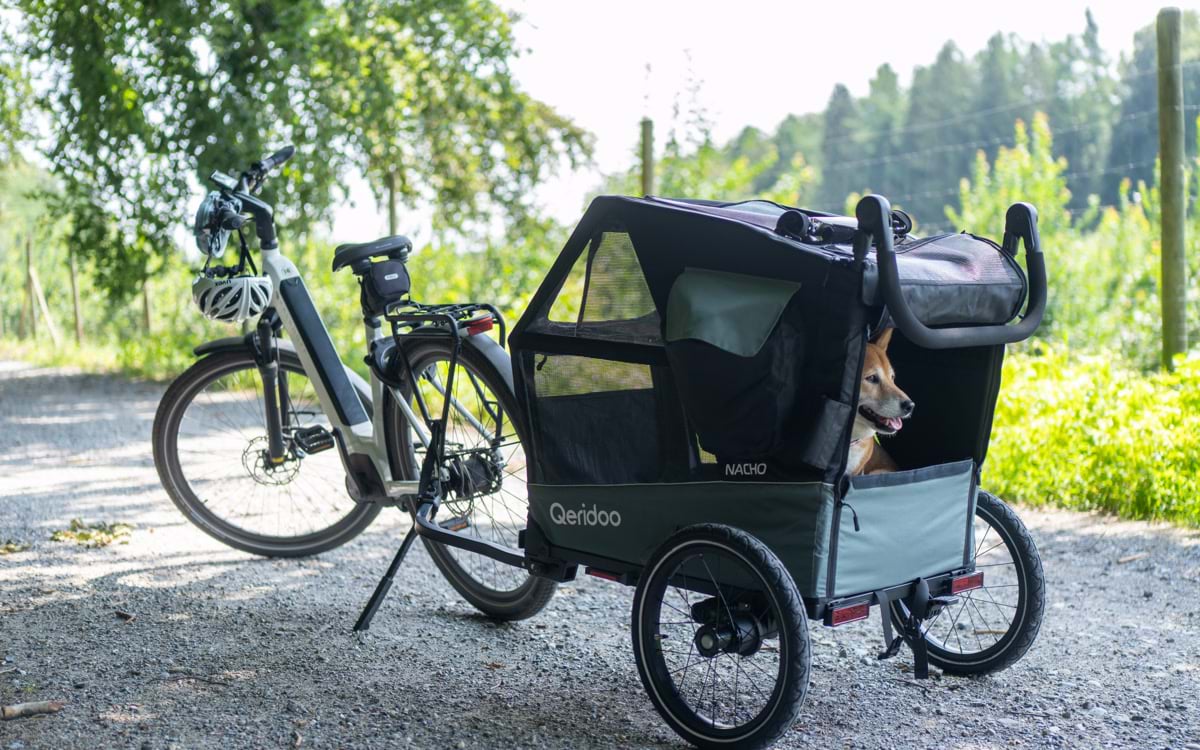 Qeridoo Nacho Hundeanhänger am E-Bike auf einem Schotterweg am Bodensee.