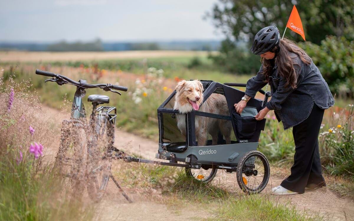 Fahrradfahren mit Hund: 5 Tipps für Anfänger