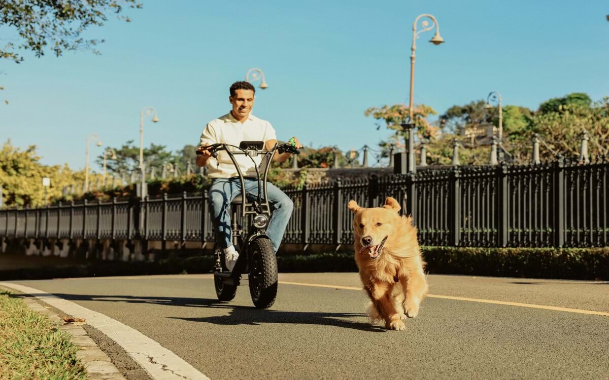 Bike-Touren mit Hunden