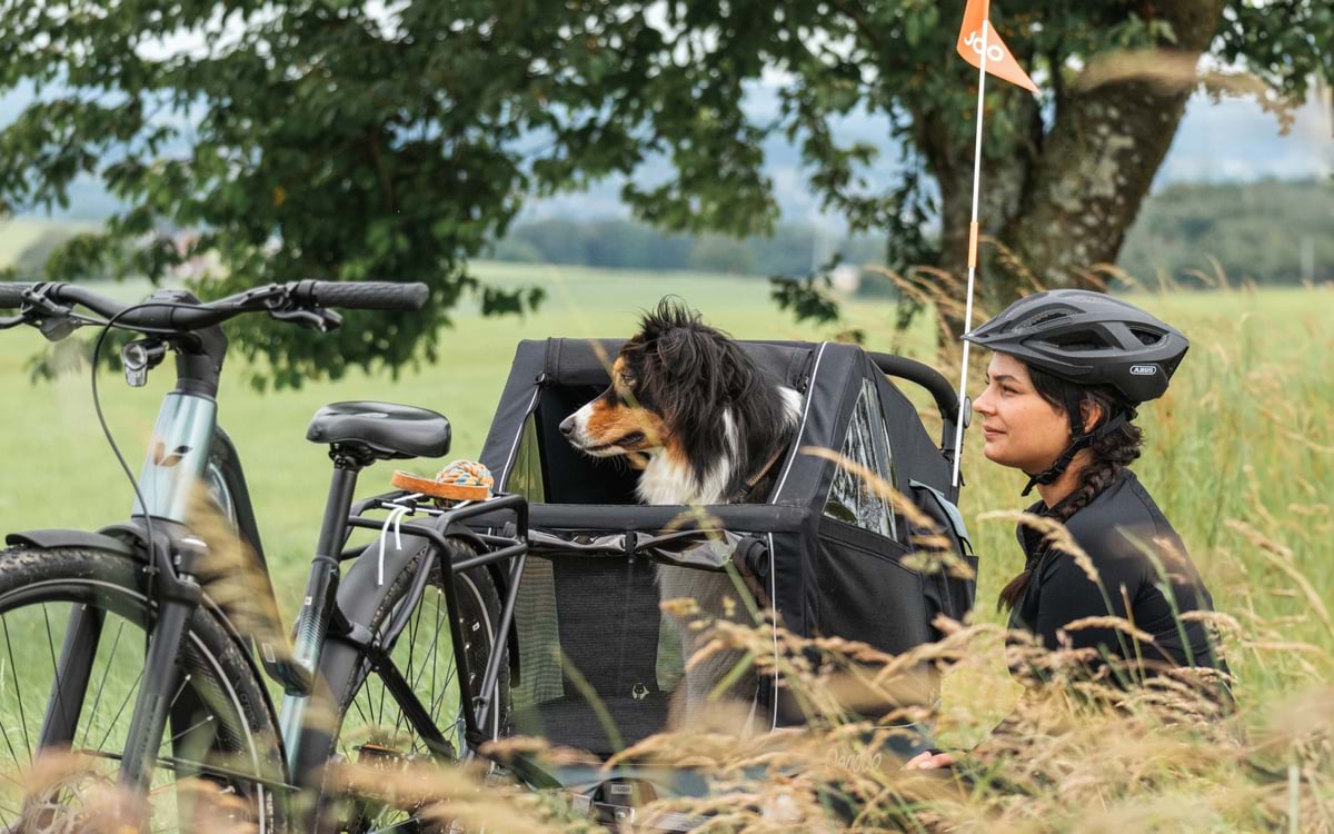 Anhänger für Hunde am Fahrrad