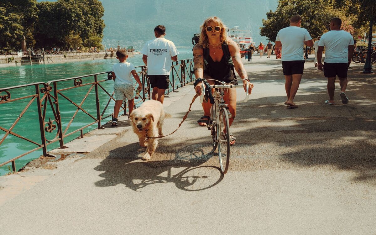 Ab wann darf ich mit meinem Hund Fahrrad fahren?