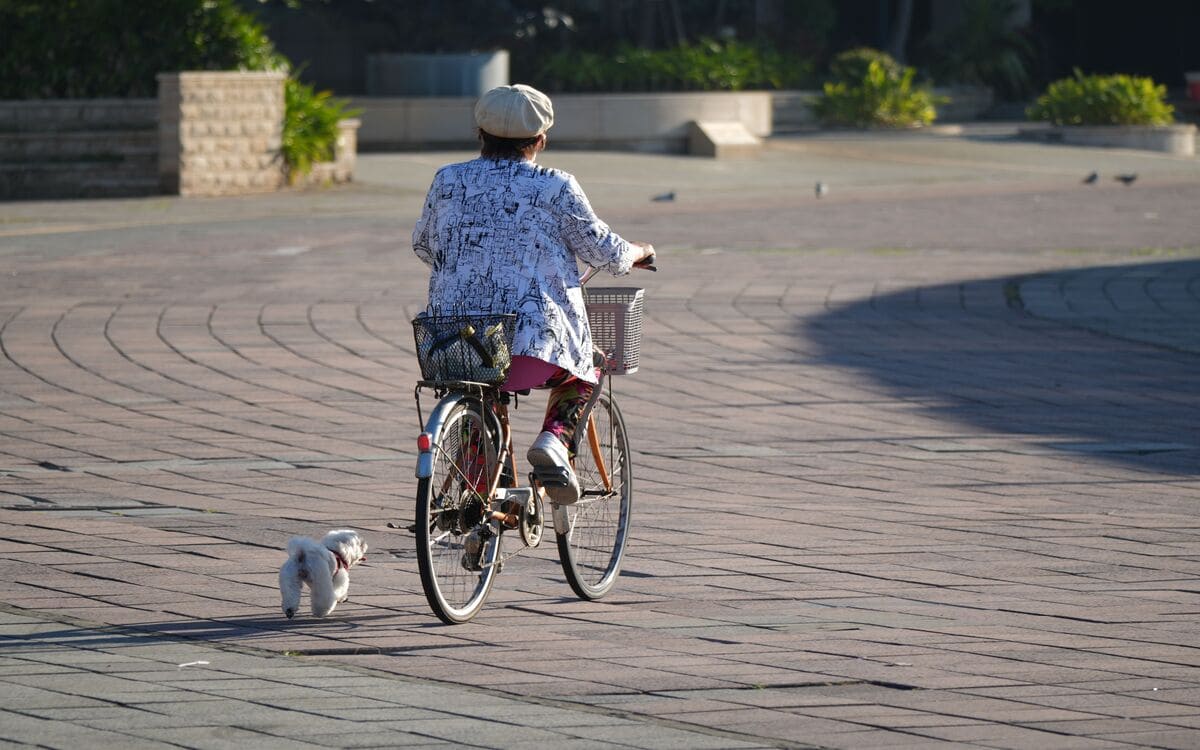 Hundeanhänger am Fahrrad